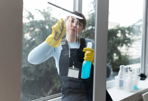 Nettoyage de vitres intérieures et extérieures à Gleizé
